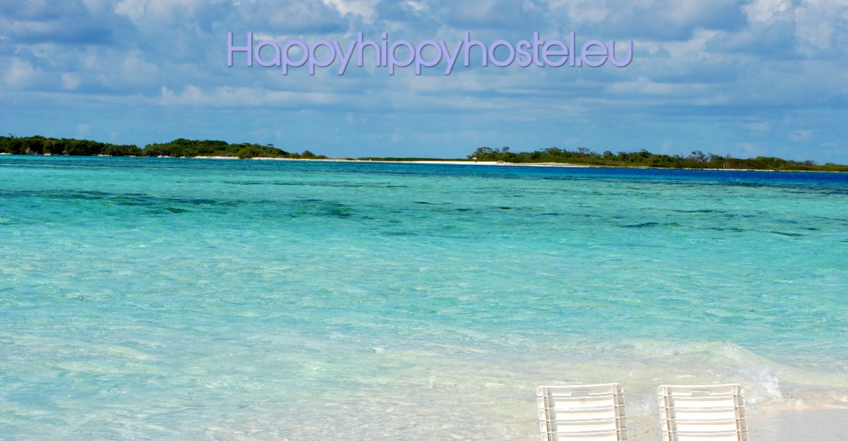happyhippyhostel.tonnews.top